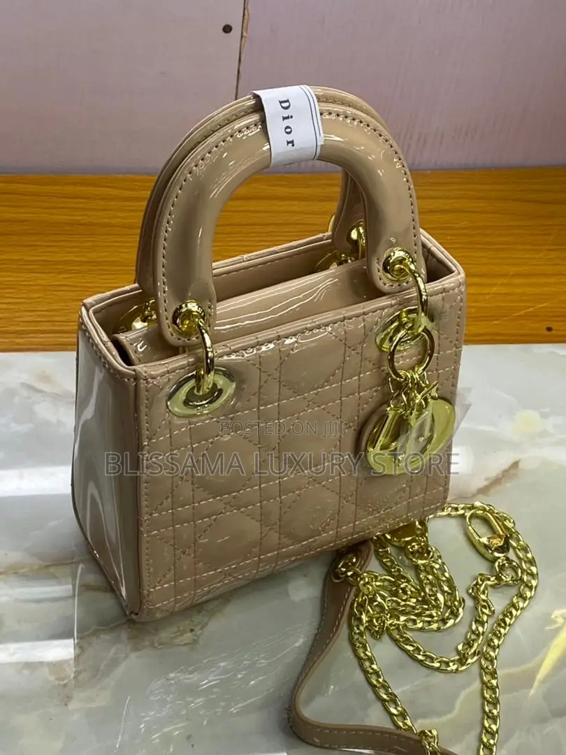 Top Quality Female Dior Luxury Hand Bag