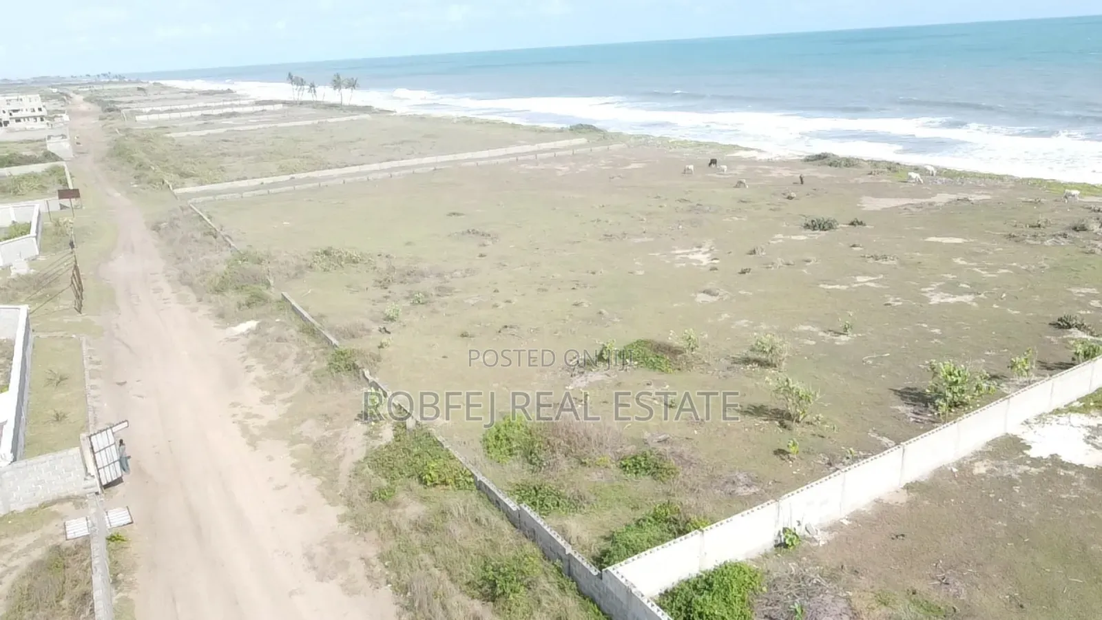Ocean Front Oasis