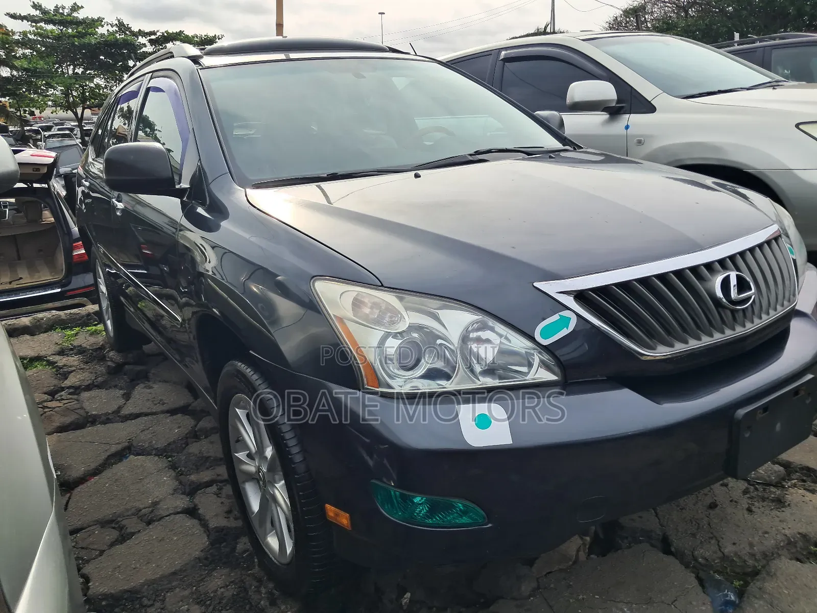 Lexus RX 330 2006 Gray