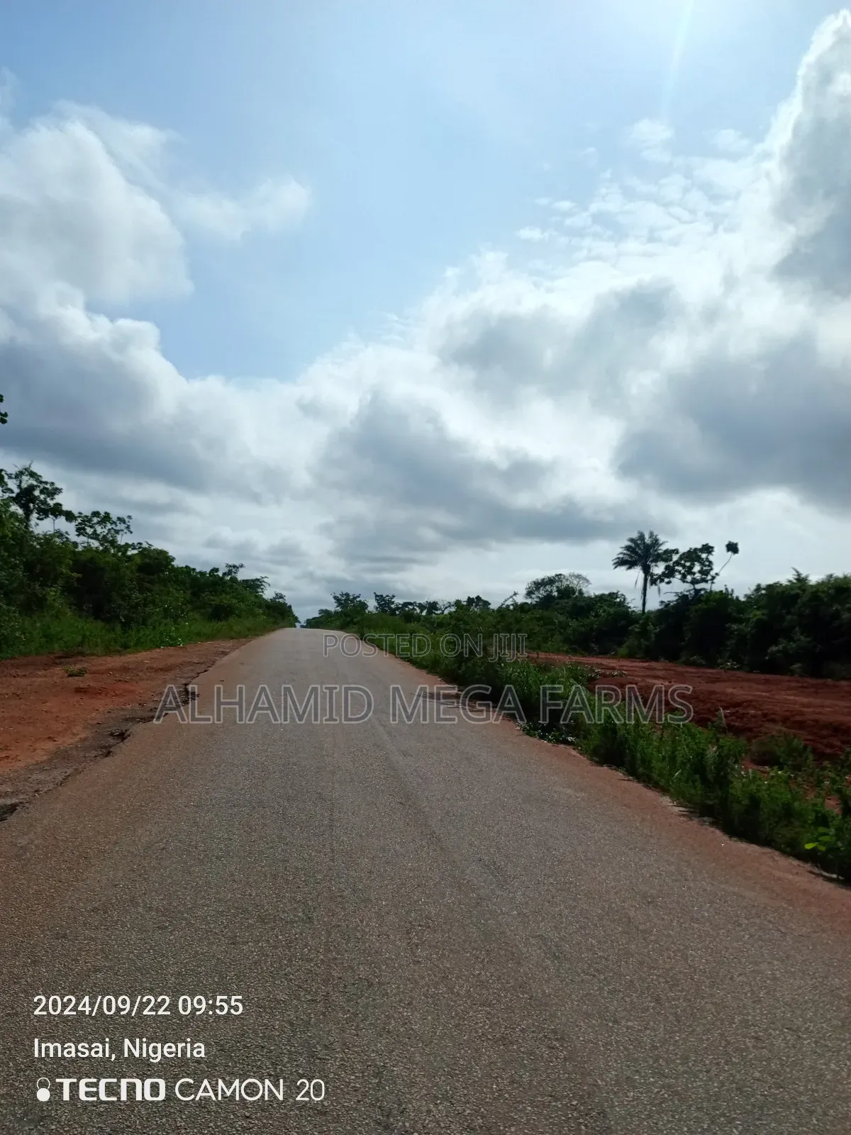 100 Acres of Farmland for Sale