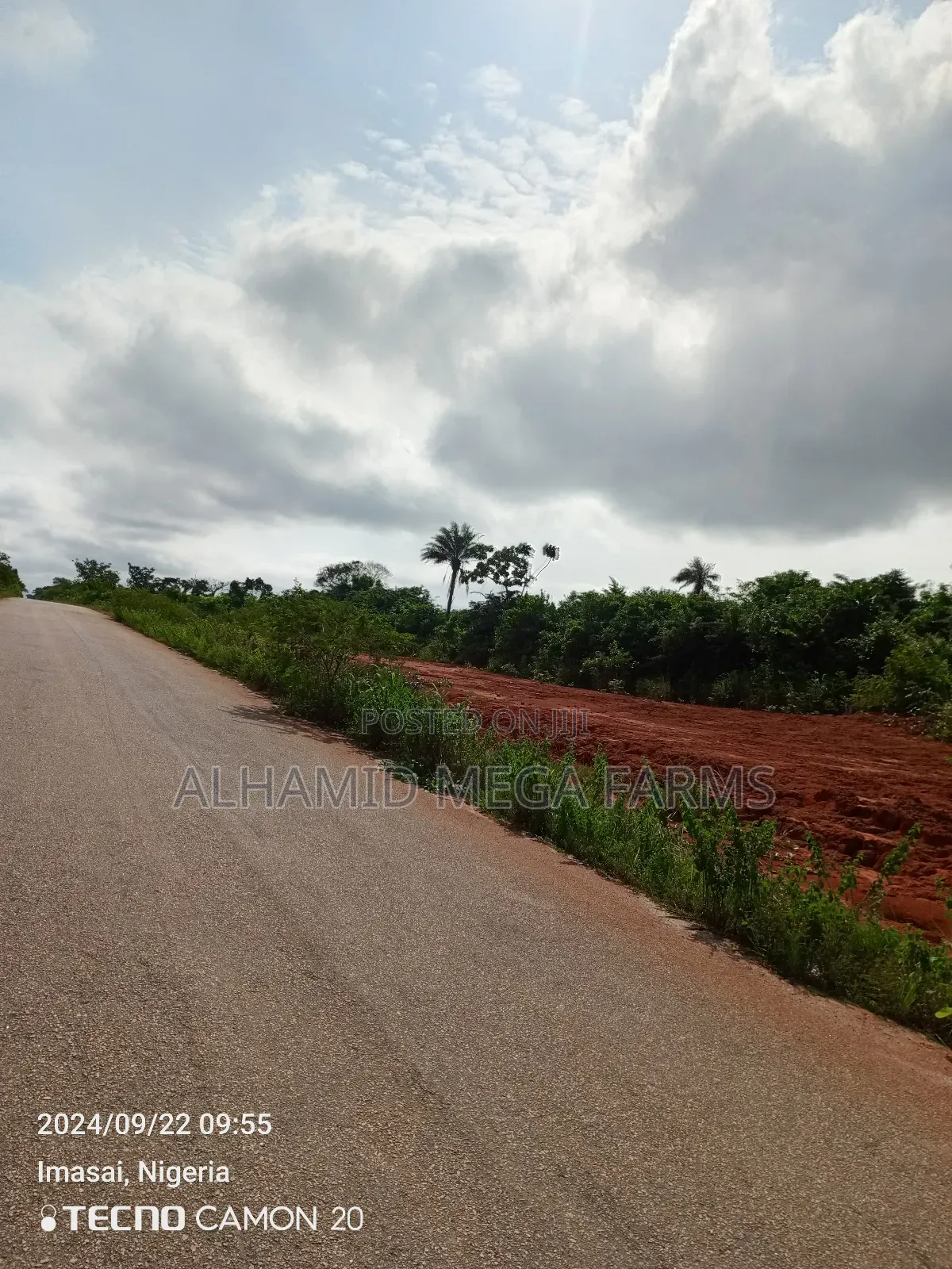 100 Acres of Farmland for Sale