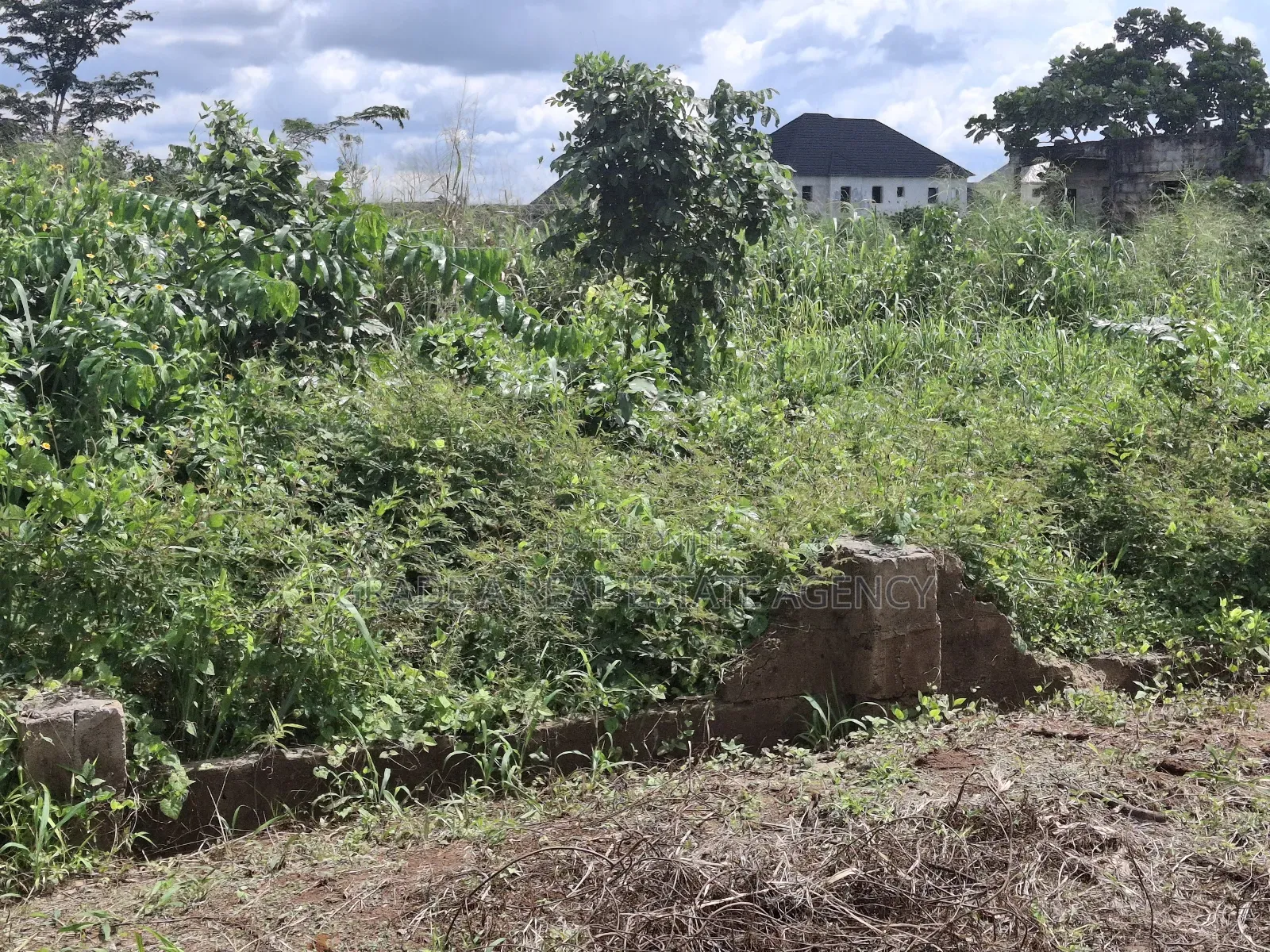 Land for Sale at Orji Town Annex Ibc Quarters