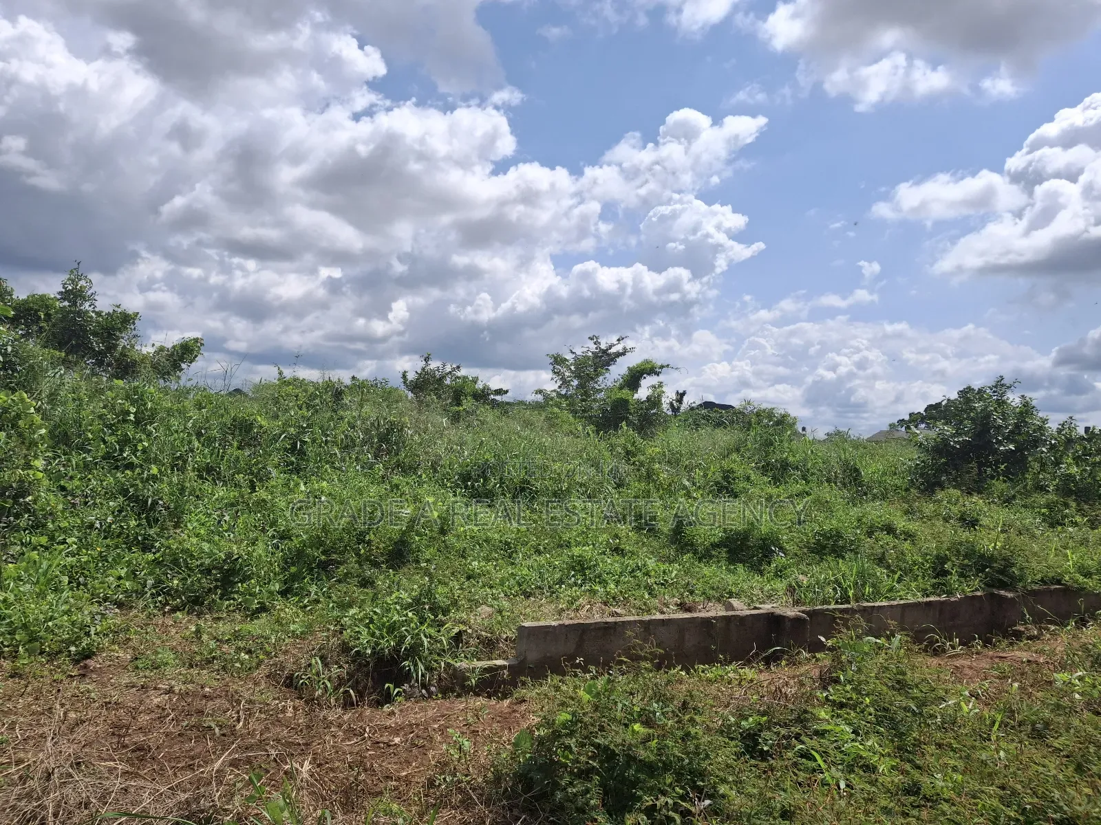 Land for Sale at Orji Town Annex Ibc Quarters