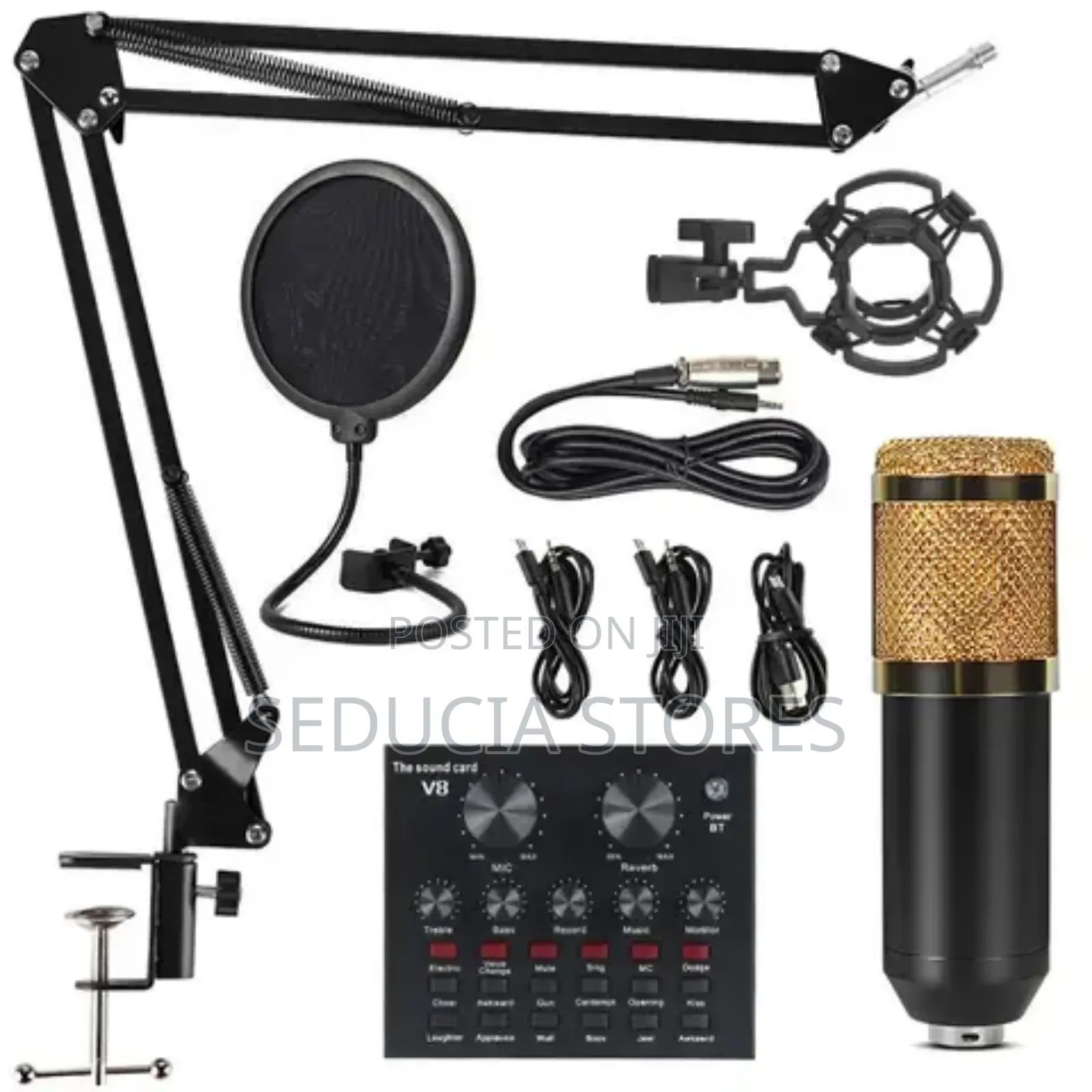 Condenser Microphone With V8 Live Sound Card