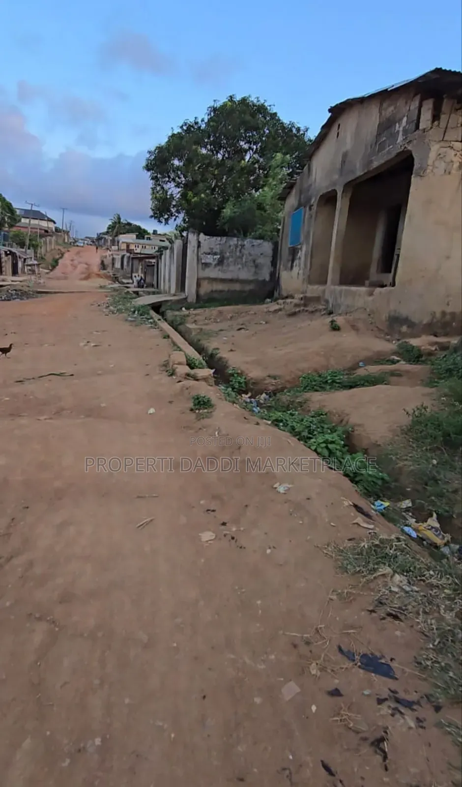 Dry Virgin Land in a Very Good Location for Sale