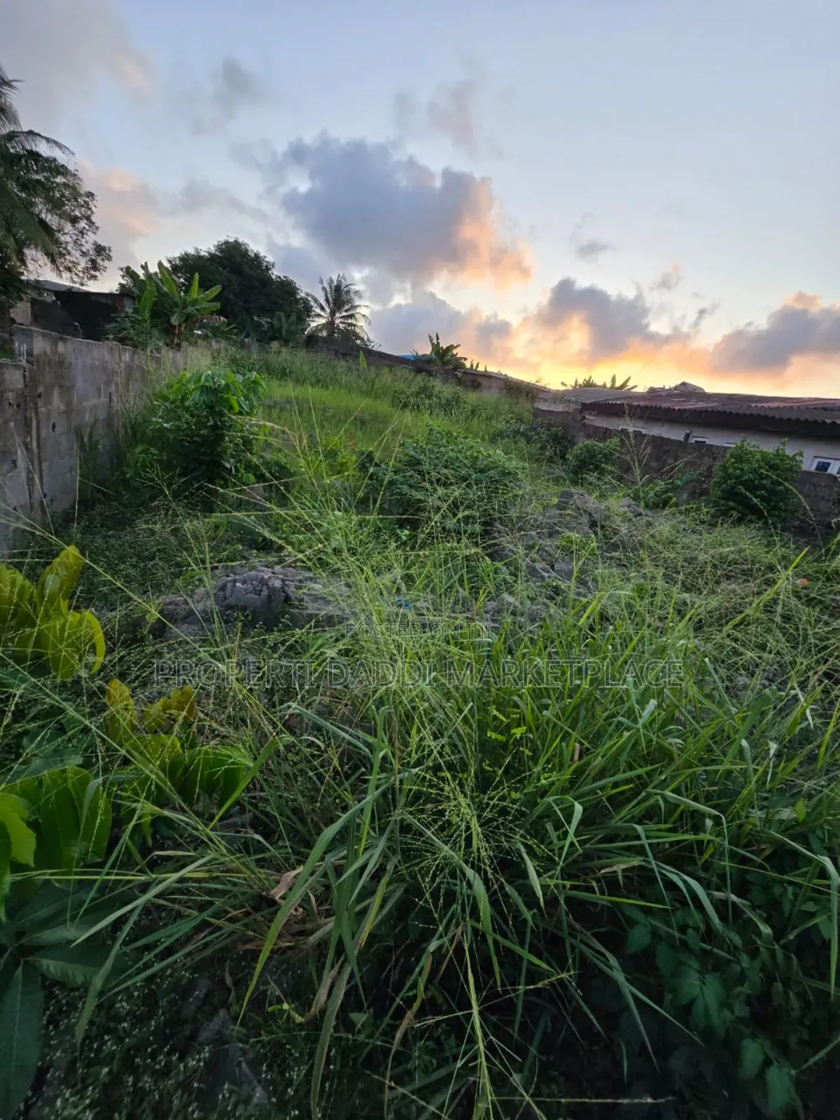 Dry Virgin Land in a Very Good Location for Sale