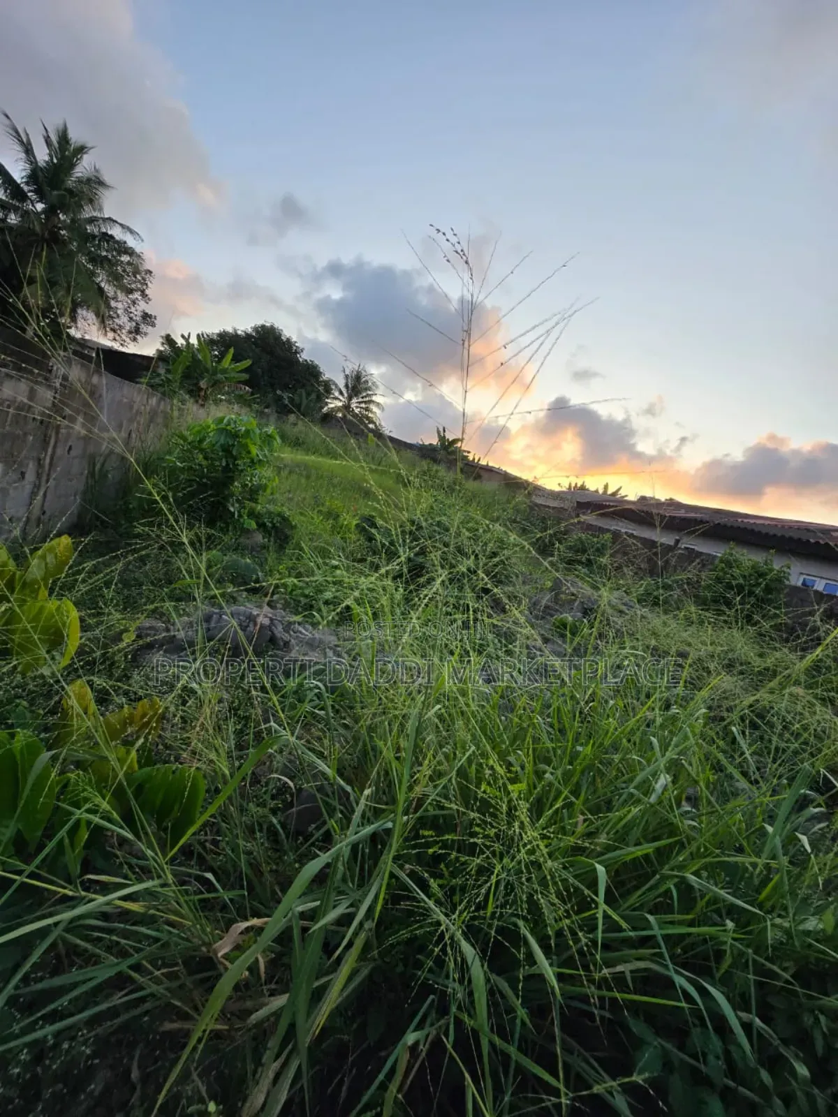 Dry Virgin Land in a Very Good Location for Sale