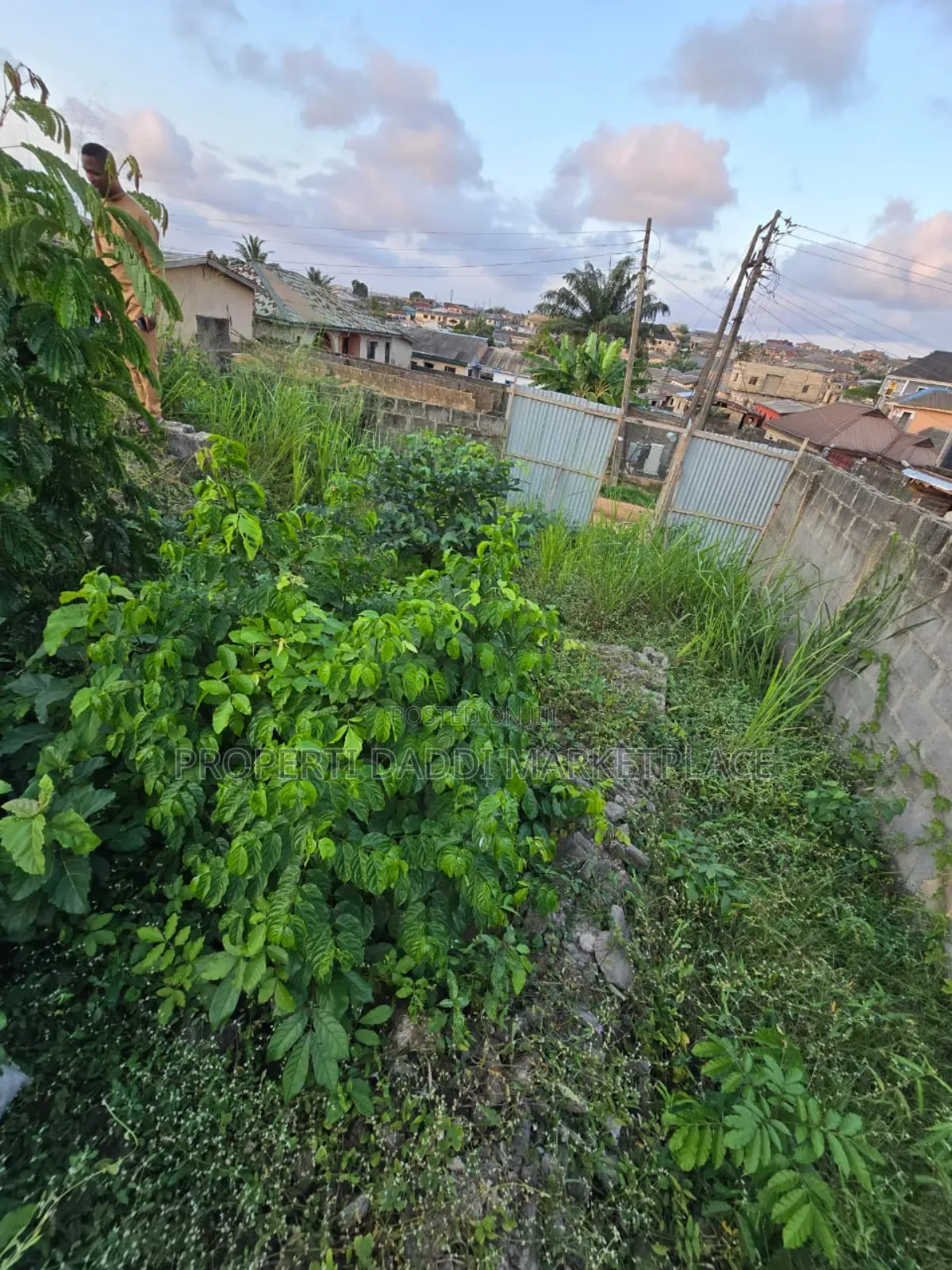 Dry Virgin Land in a Very Good Location for Sale