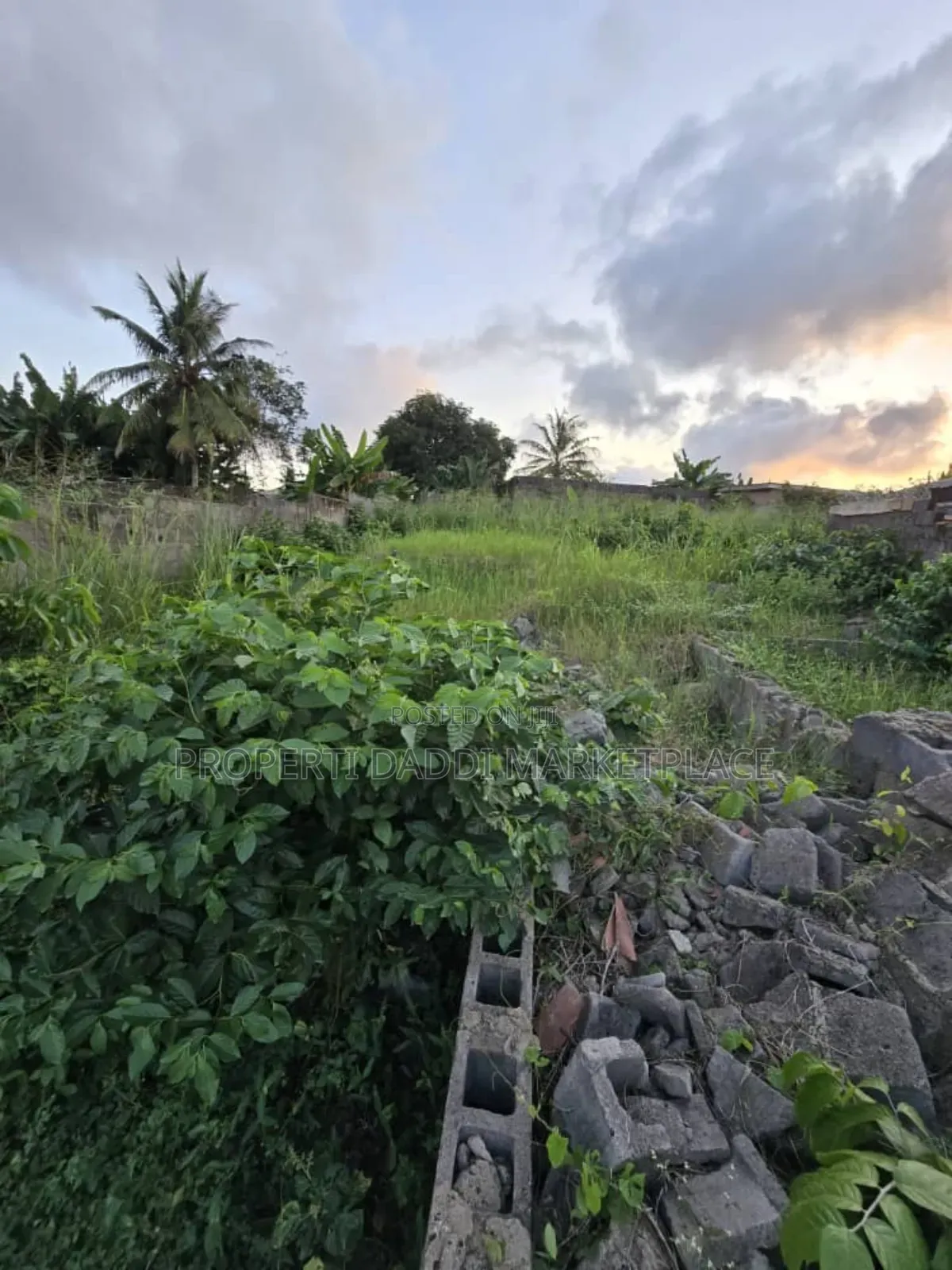 Dry Virgin Land in a Very Good Location for Sale