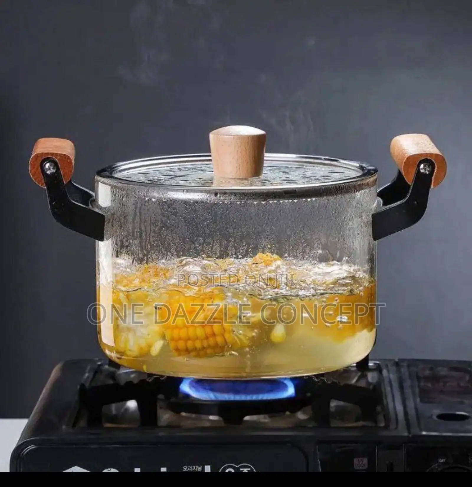 Borosilicate Glass Cooking Pot (5.5l)