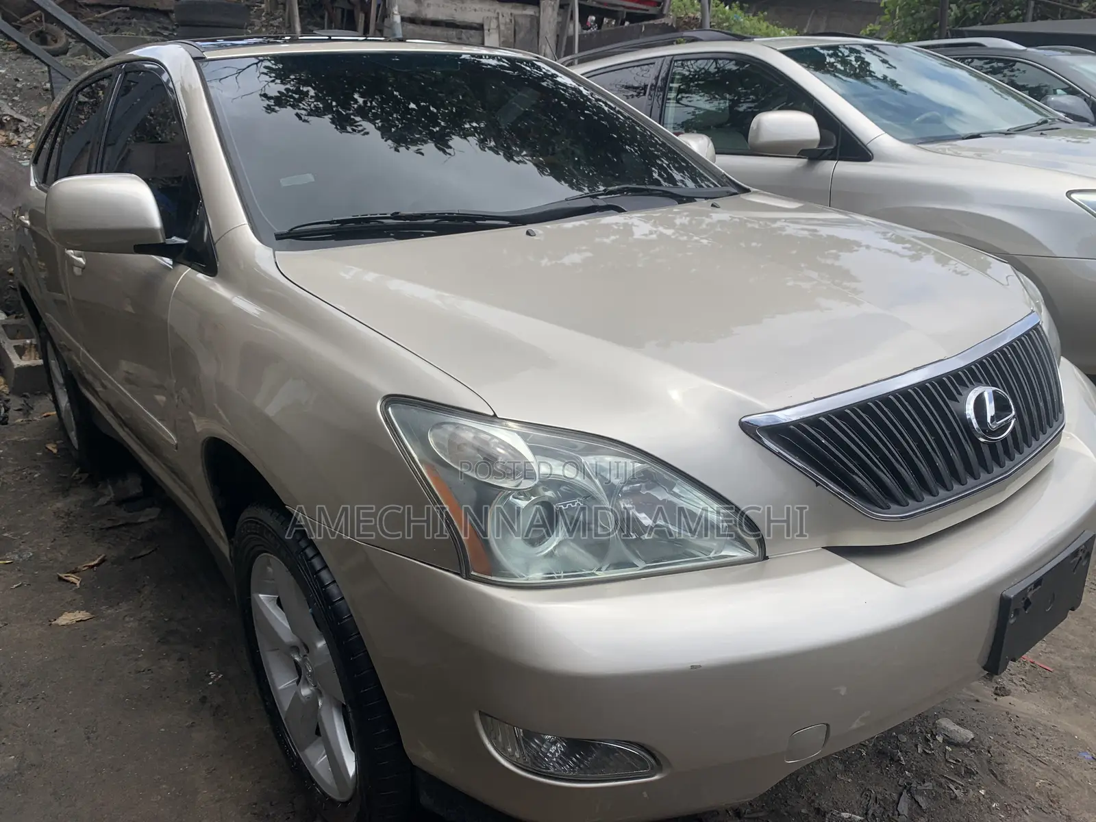 Lexus RX 330 4WD 2005 Gold