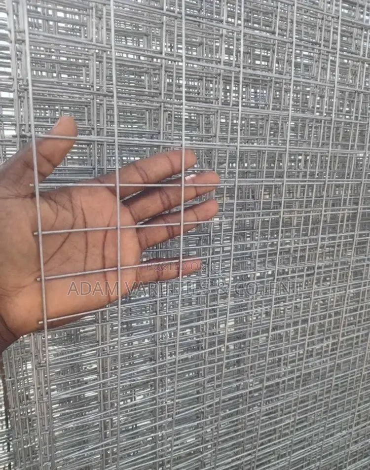 2x1 by 2mm Galvanized Mesh. 4ft X 12ft