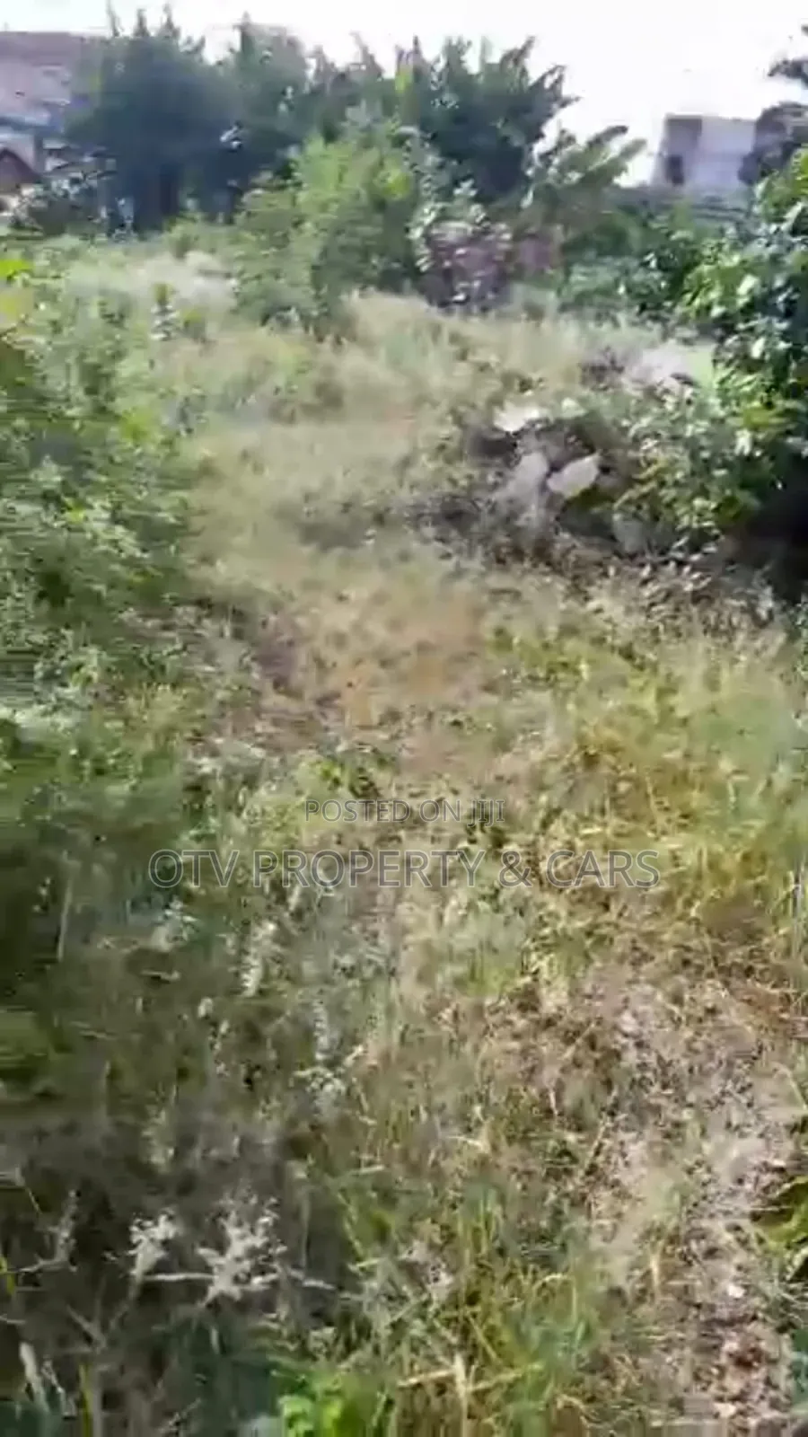Dry and Table Land Prime Location for Sale* *