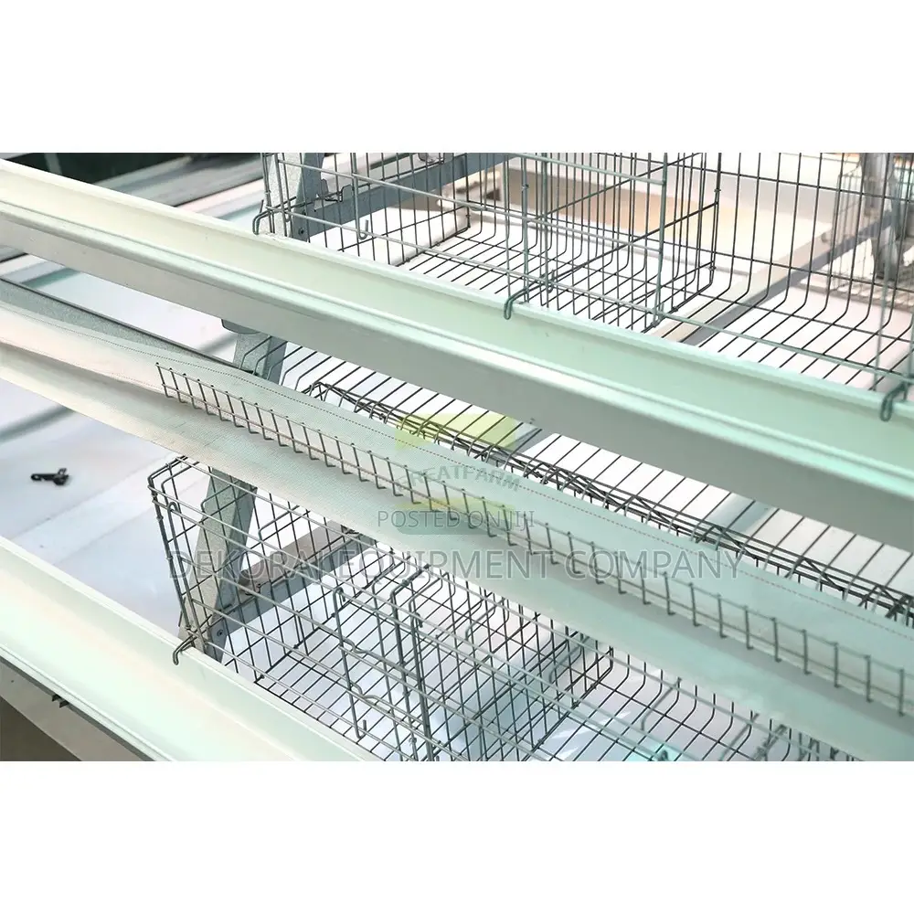 Brooding Cage For Raising Healthy Broiler And Layers