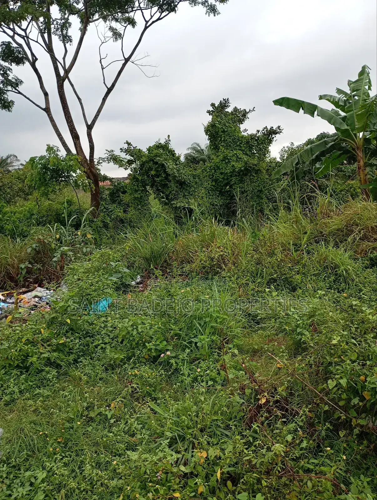 Half Plot of Land for Sale