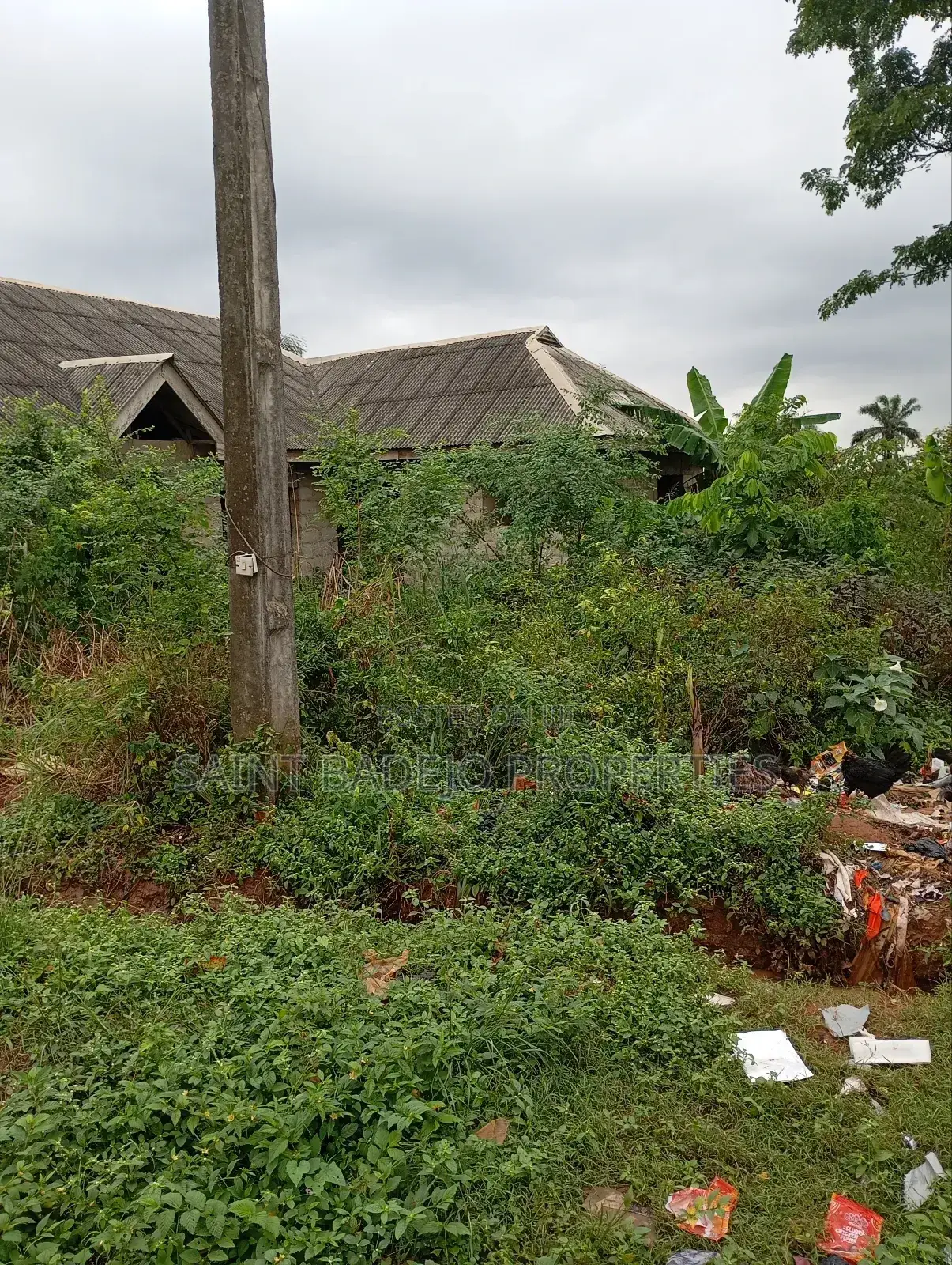 Half Plot of Land for Sale