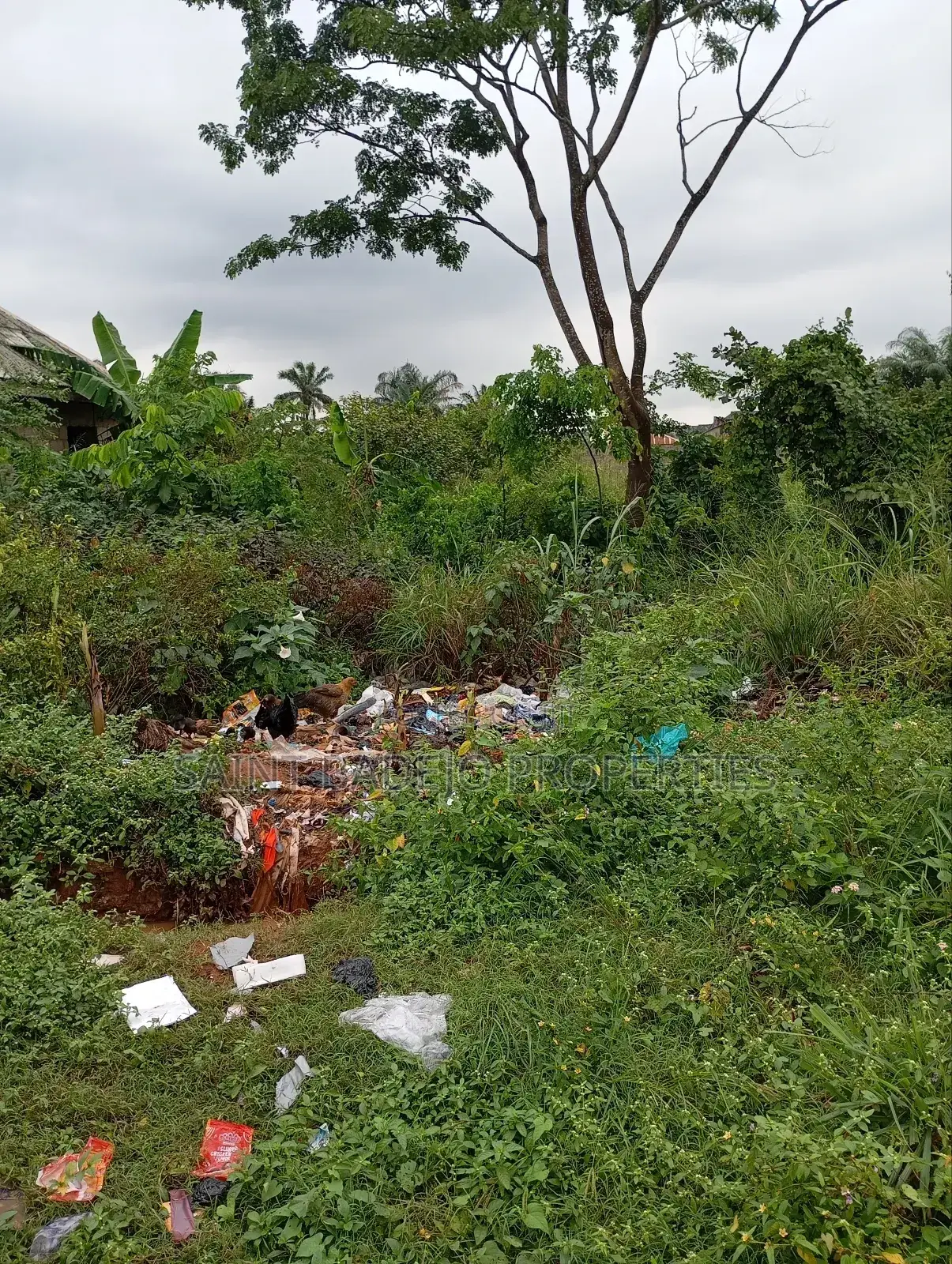 Half Plot of Land for Sale