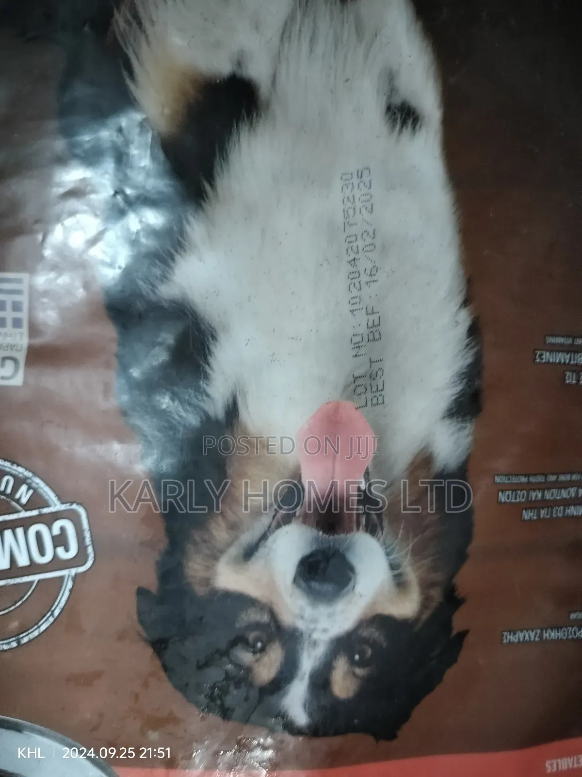 Complete Dry Pet Food for Dogs With Beef and Vegetables