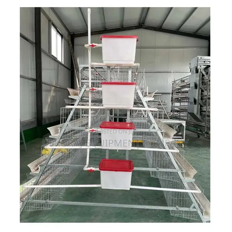 300 Birds Capacity Cage, Hot Dip Galvanize Cage, Brooding