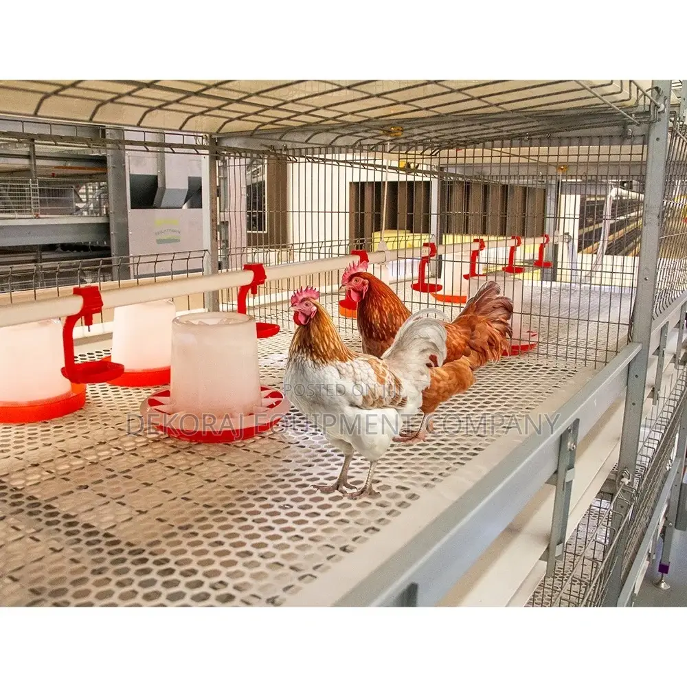 Brooding Cage, Broiler Cage, Layers Cage, Poultry Cages