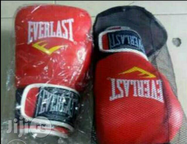 Everlast Boxing Gloves