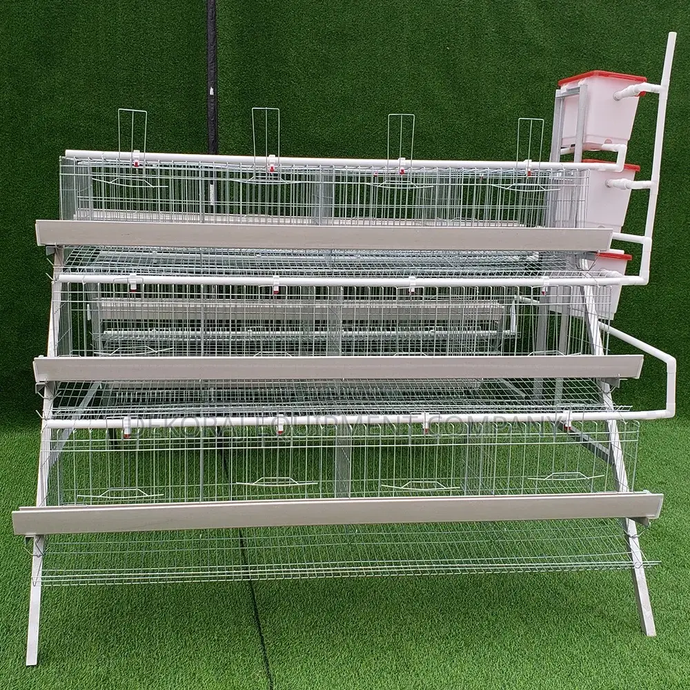 96 Birds Foreign High Quality Galvanized Steel Cage