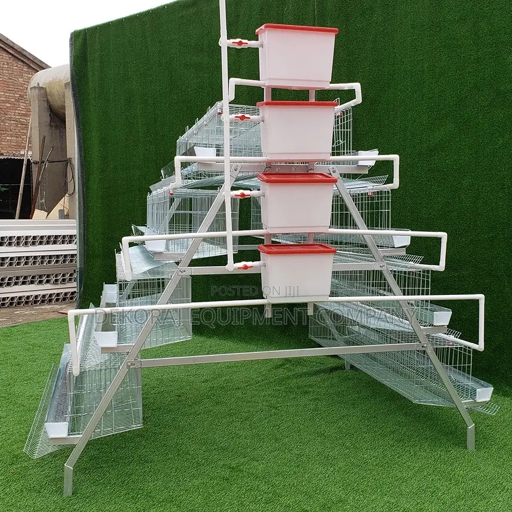 160 Birds Foreign Layer Battery Cage, Point Of Lay, Etc