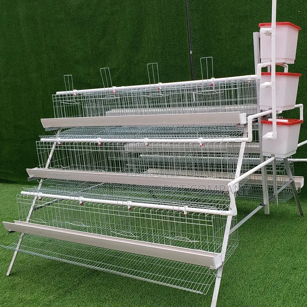 120 Birds Poultry Cage, Buy For Up To 100,000 Birds Capacity