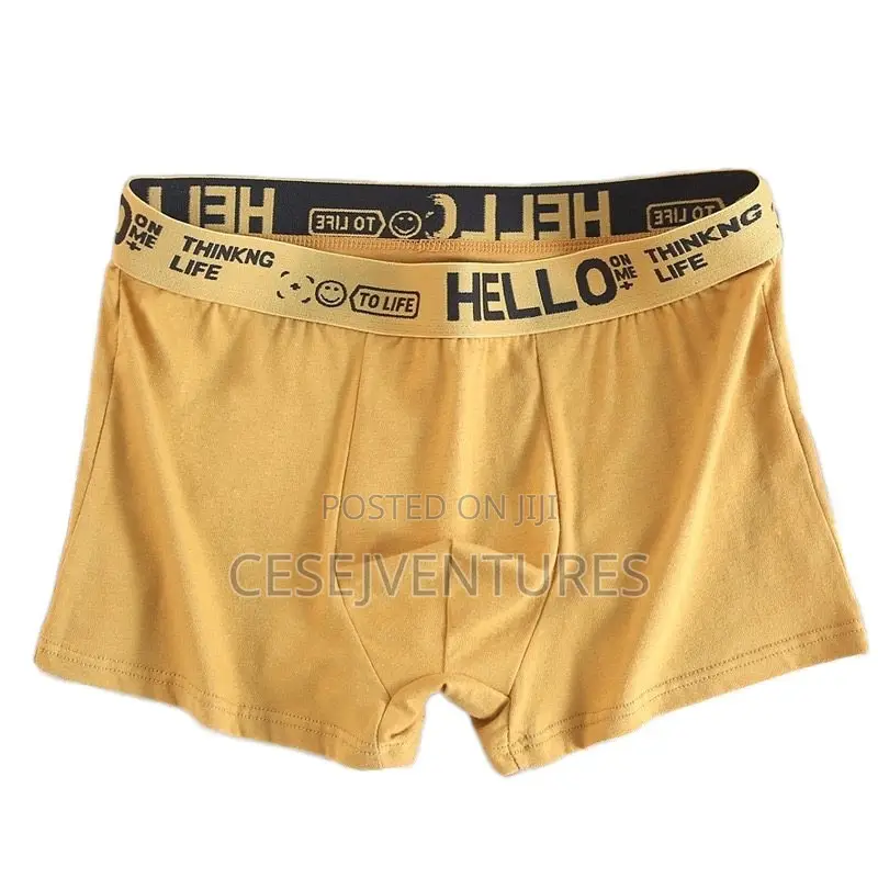 Mens Underwear Male Boxers