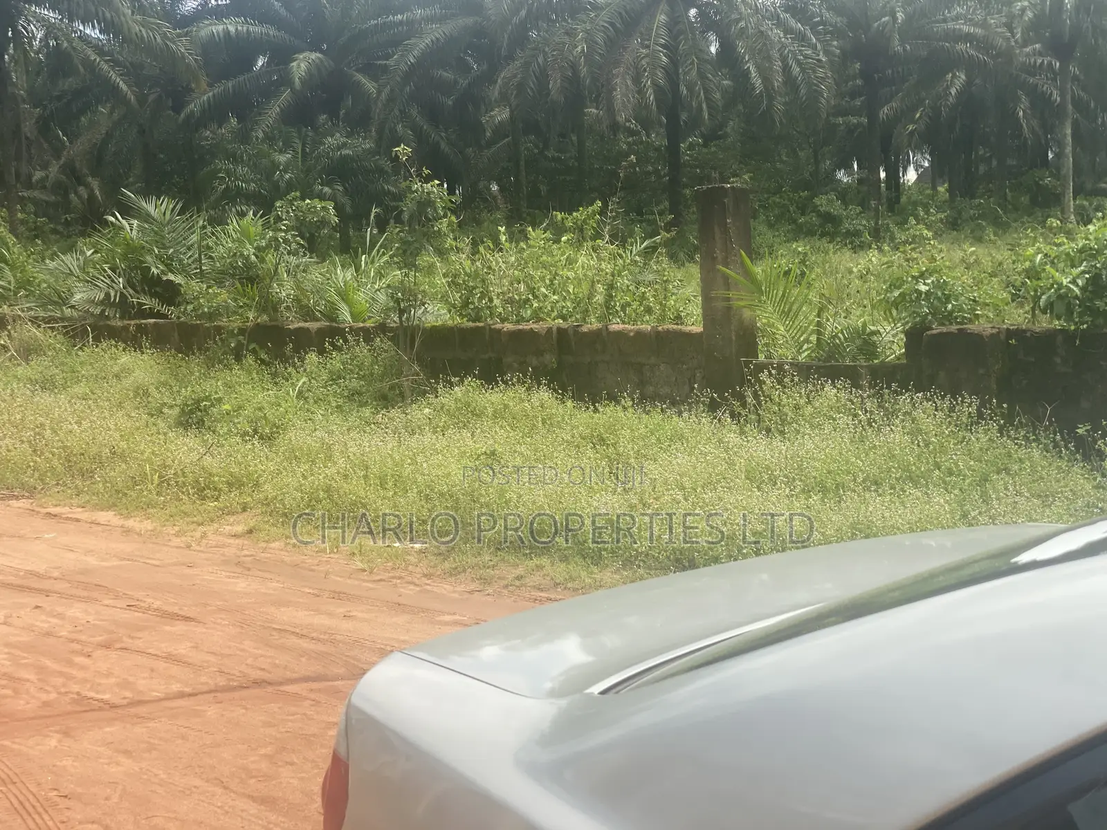 Genuine 61 Plots of Land With C of O on a Tarred Road 4 Sale