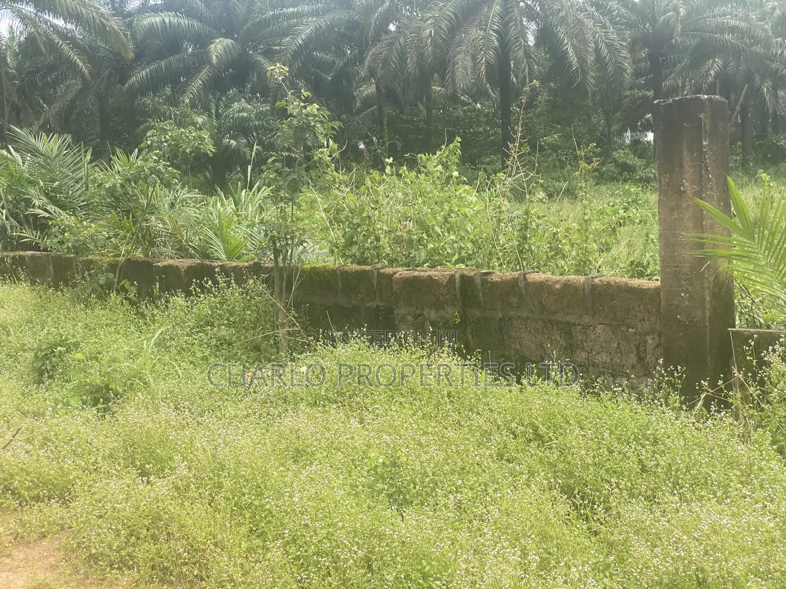 Genuine 61 Plots of Land With C of O on a Tarred Road 4 Sale