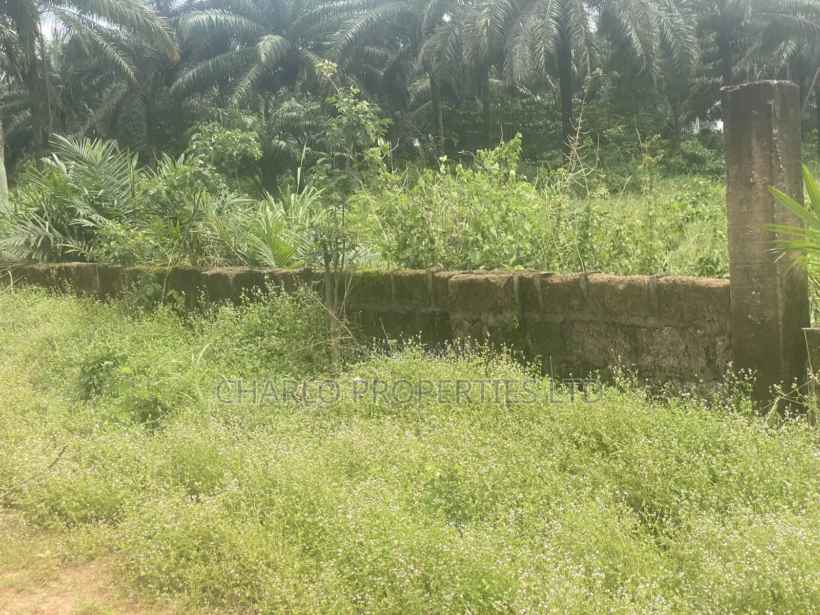 Genuine 61 Plots of Land With C of O on a Tarred Road 4 Sale