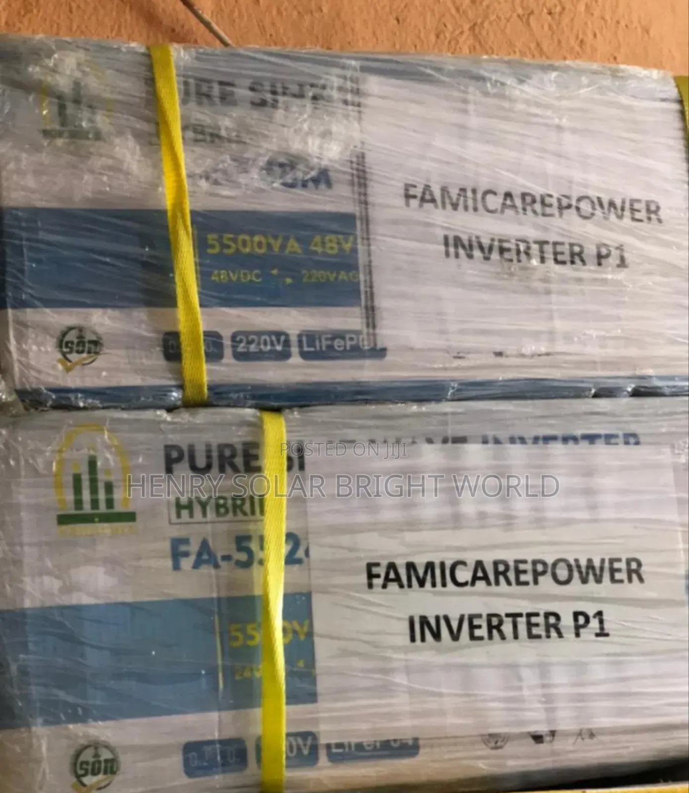 Famicare Inverter 5.5kva 48v Wall Mount