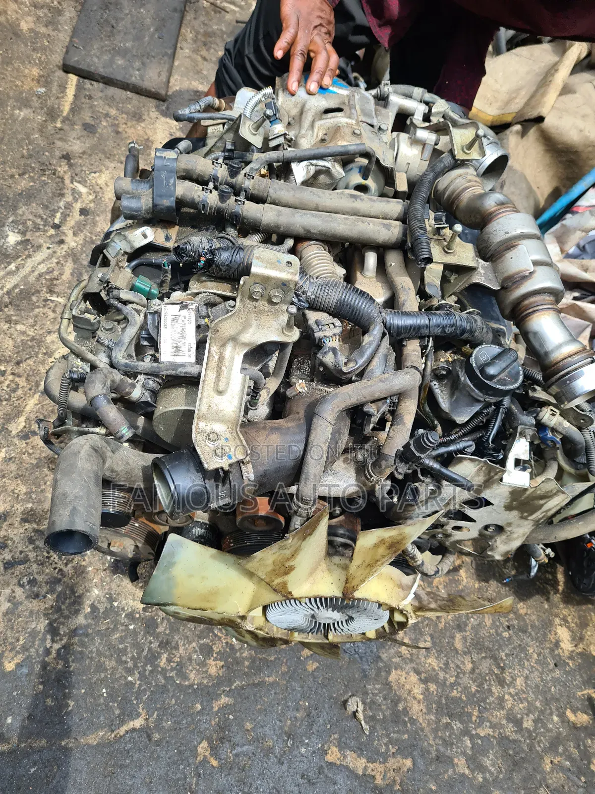 Nissan Pathfinder Diesel Engine and Gearbox
