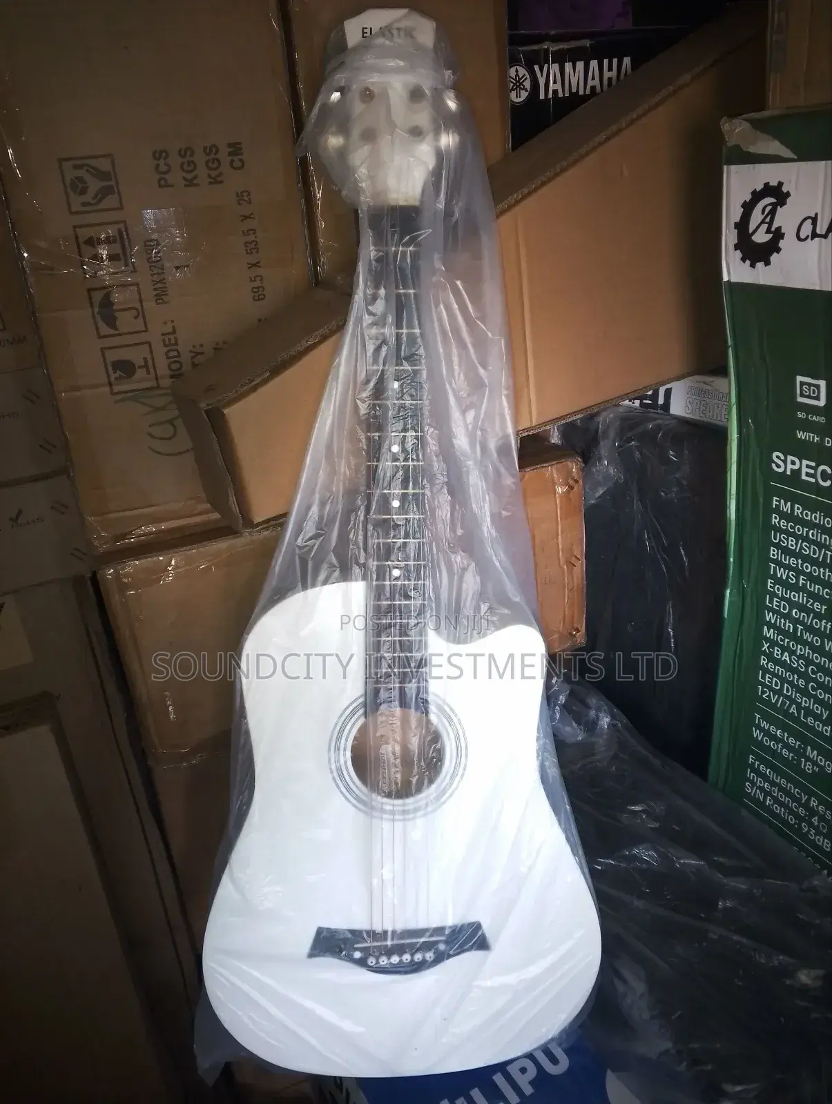 38" White-dove Box Guitar