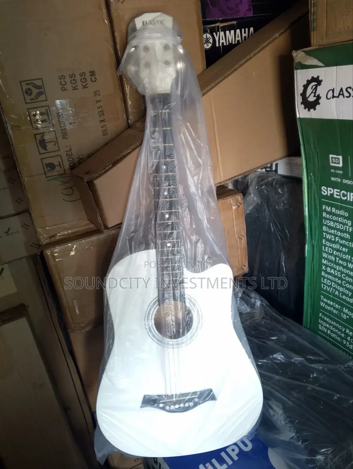 38" White-dove Box Guitar