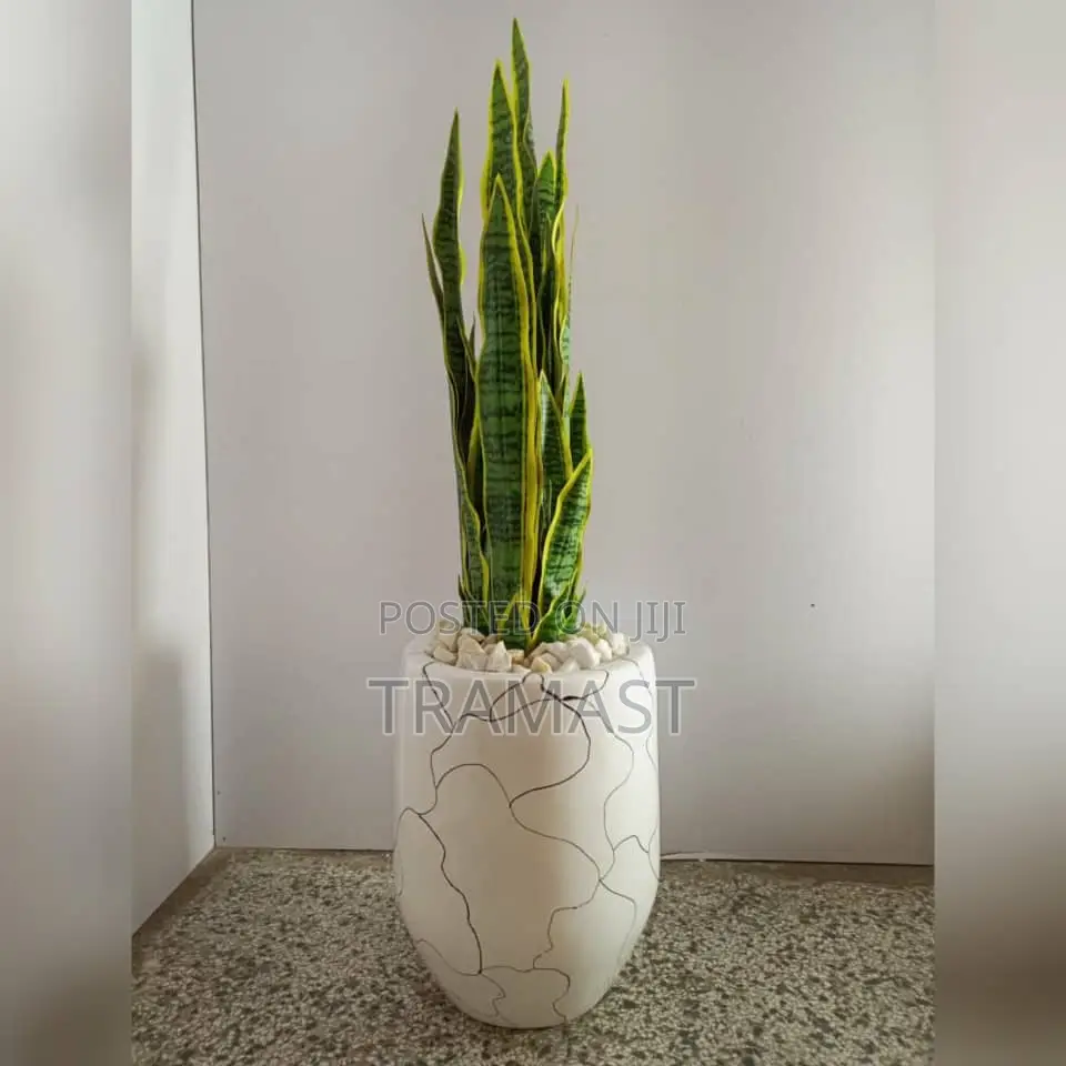 Artificial Snake Potted Plants With Fiberglass Pots