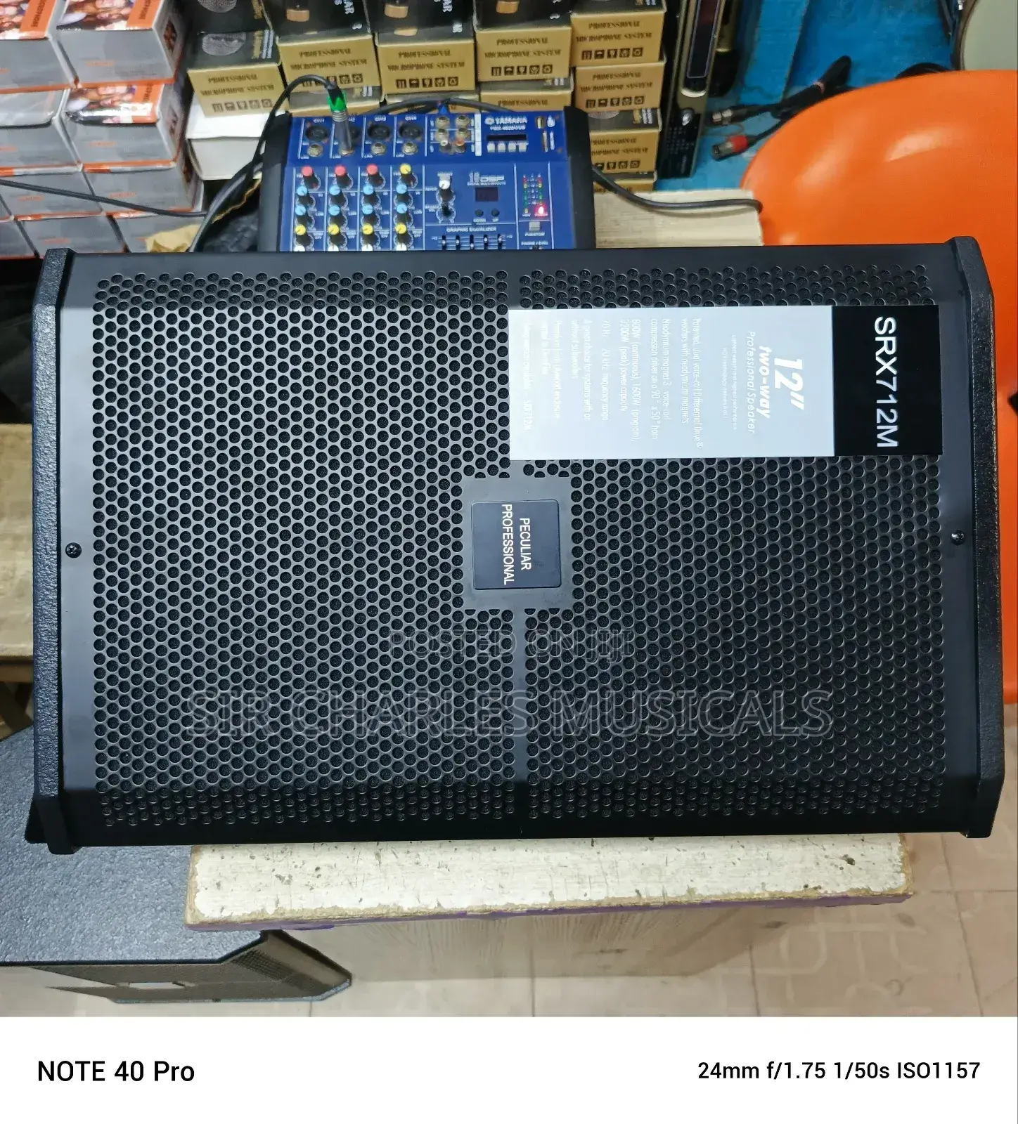 High Quality Peculiar 12 Inches Professional Pair Speaker