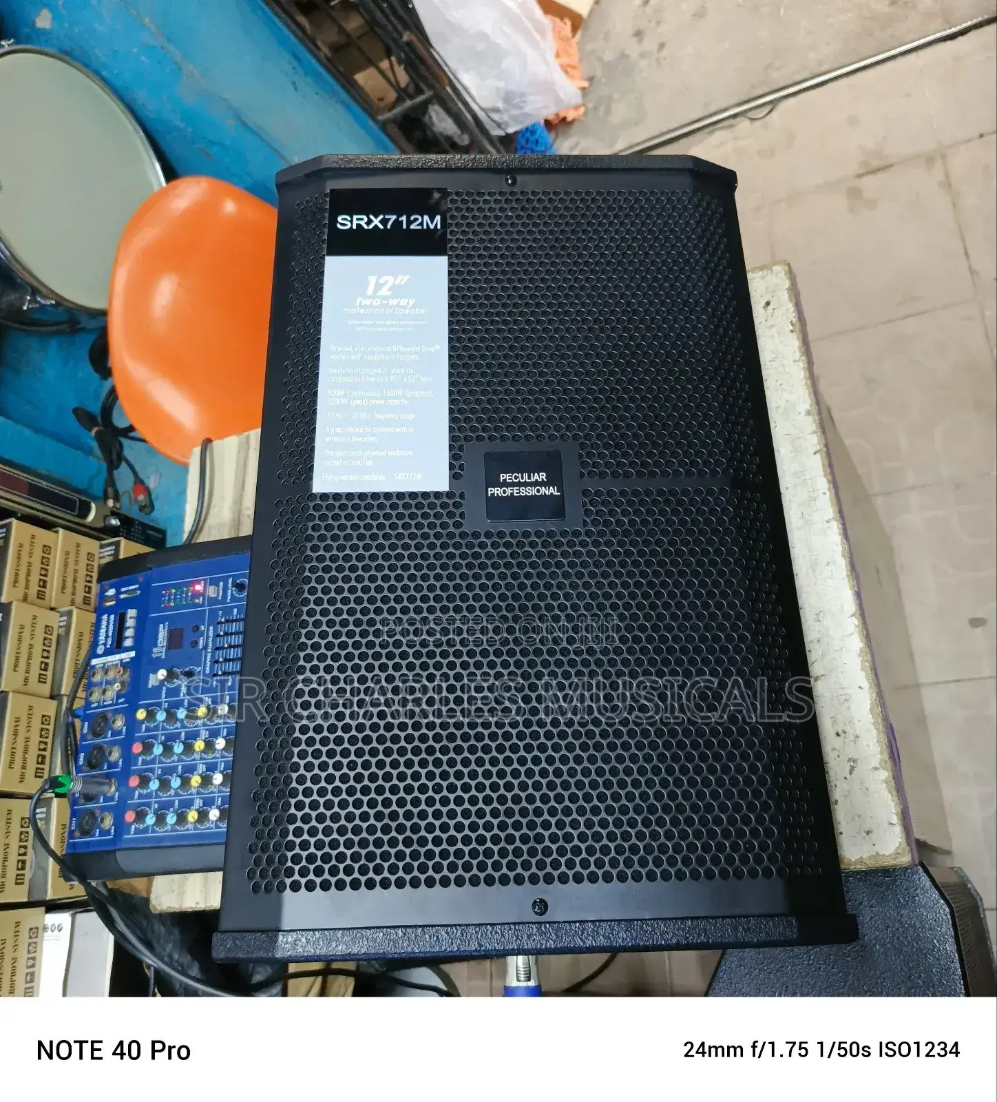 High Quality Peculiar 12 Inches Professional Pair Speaker