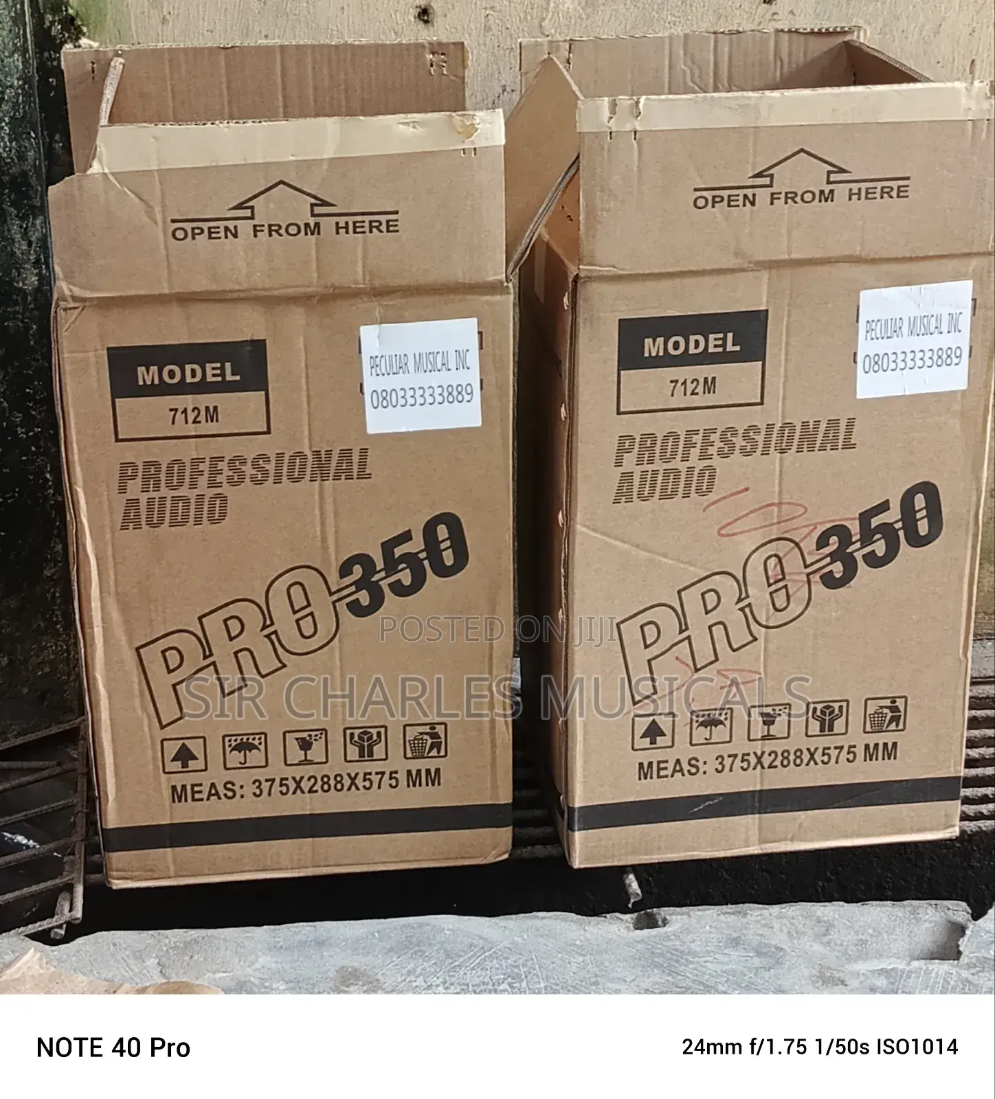 High Quality Peculiar 12 Inches Professional Pair Speaker