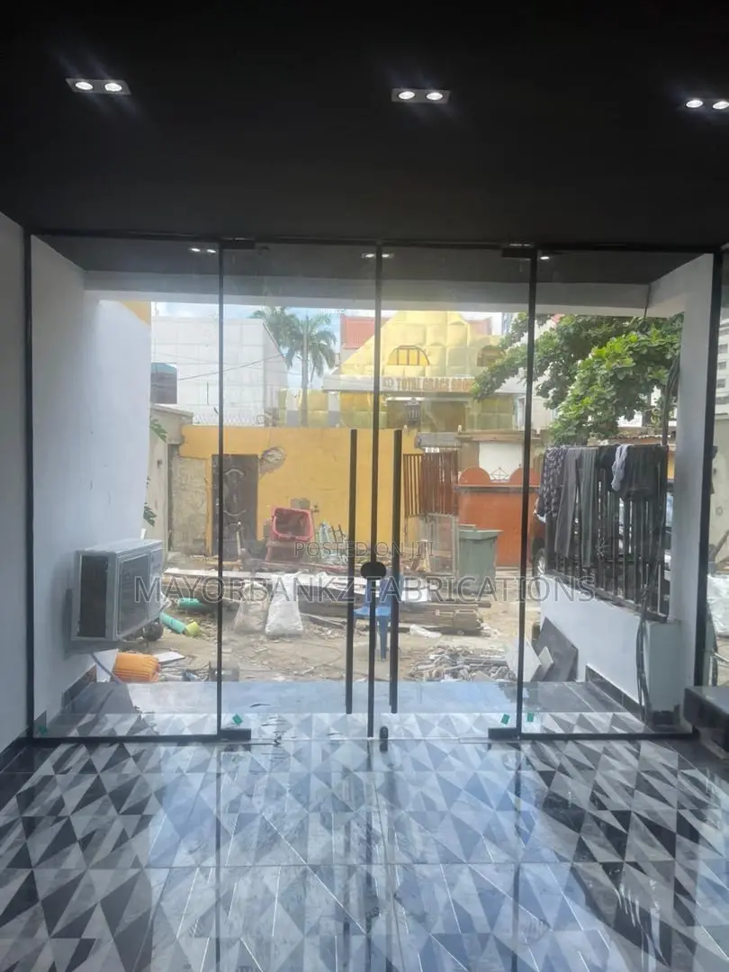 Frameless Entrance Door