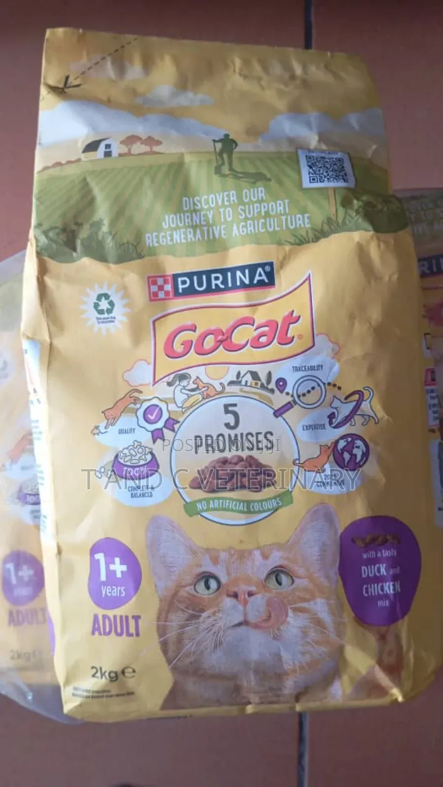 Gocat Cat Dry Food