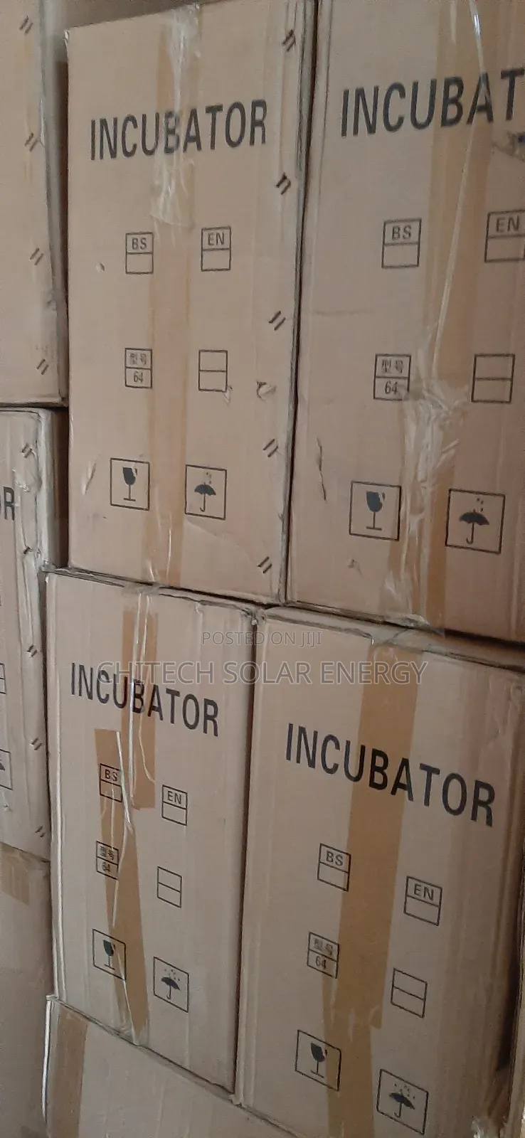 Egg Incubator