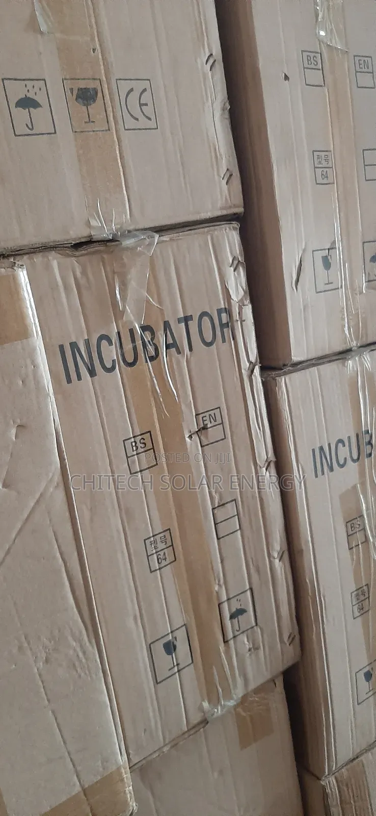 Egg Incubator