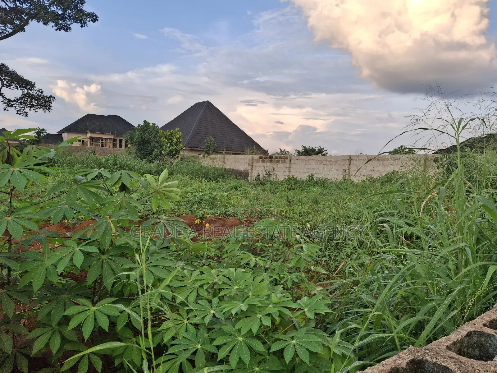 Land for Sale at Orji Town Annex Around Ibc Quarters Orji