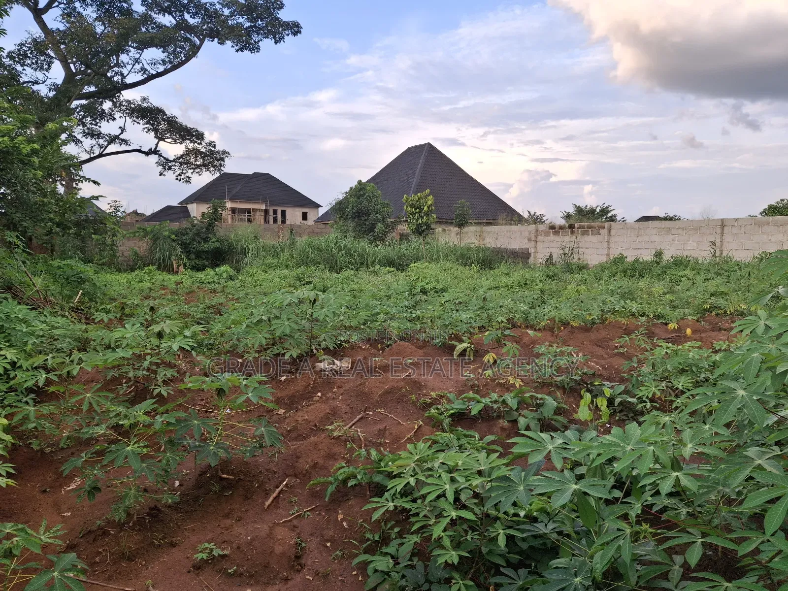 Land for Sale at Orji Town Annex Around Ibc Quarters Orji