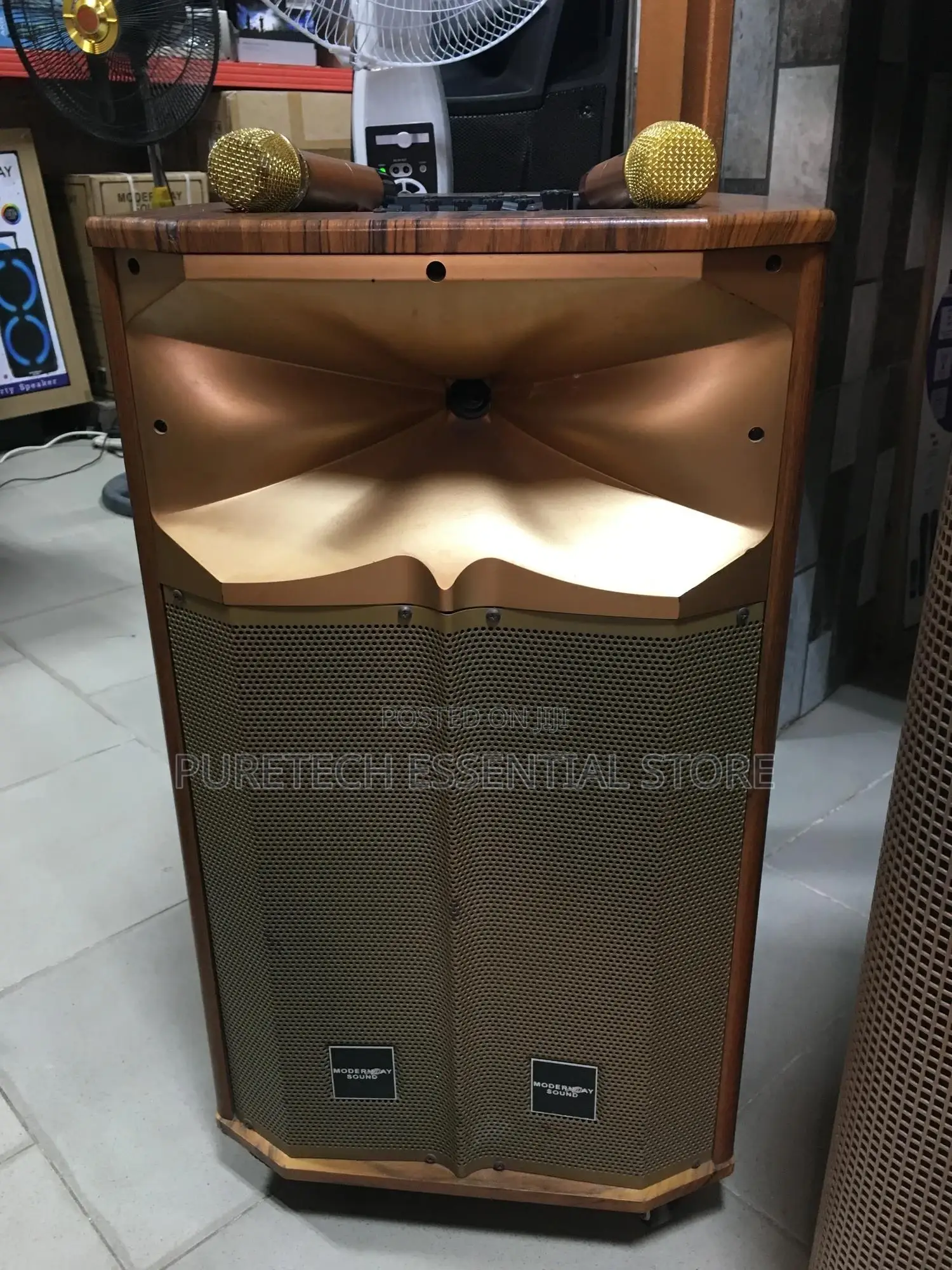 Modern Day Sound Public Addressable Speaker With 2 Mic