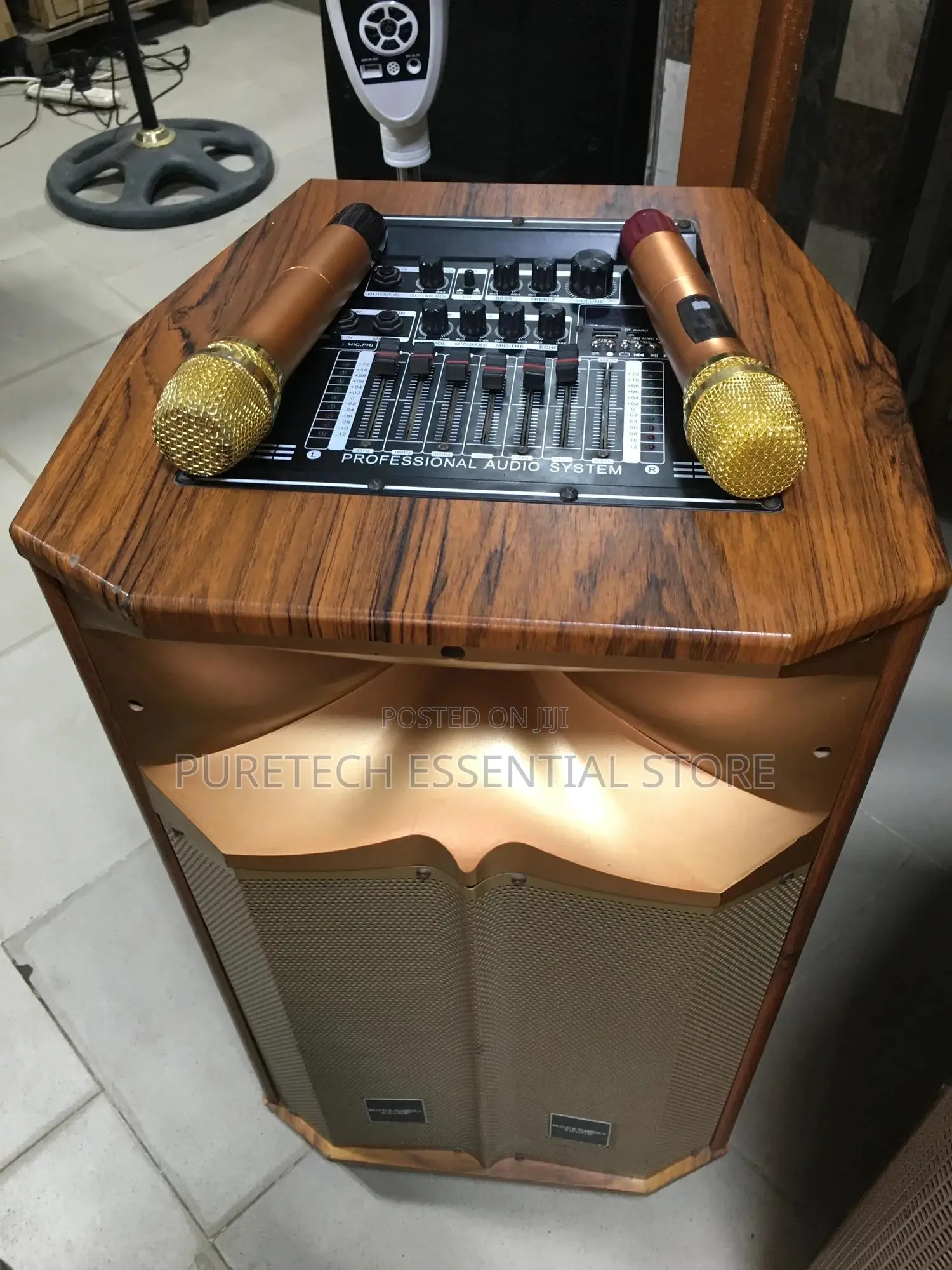 Modern Day Sound Public Addressable Speaker With 2 Mic