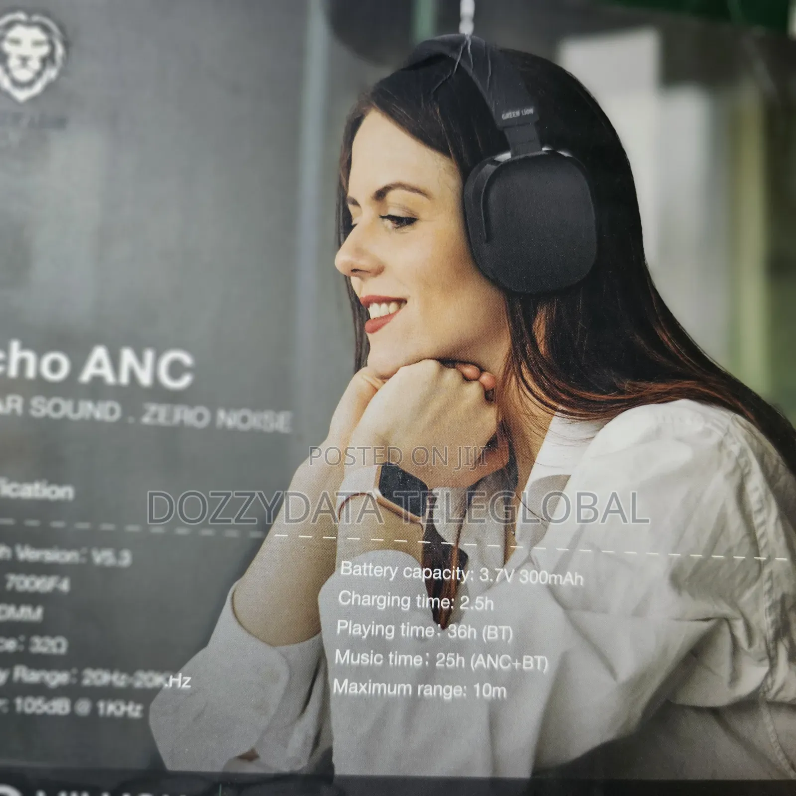 Greenlion Echo ANC Headset Headphones