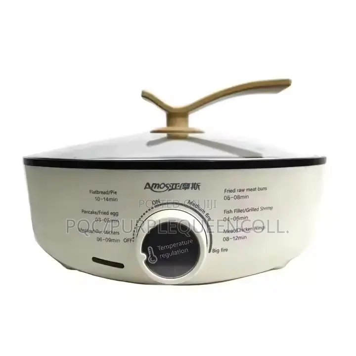 Electric Pot Air Fryer Grill Pancake Maker